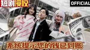 系统提示您的钱已到账 全集(大结局)