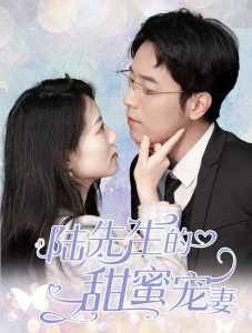 陆先生的甜蜜宠妻 第01-30集