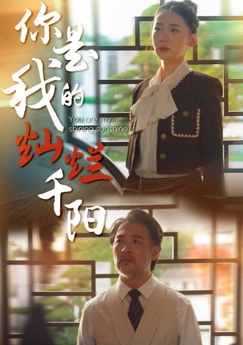 你是我的灿烂千阳 第31-61集(大结局)