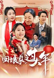 回娘家过大年 第01-30集