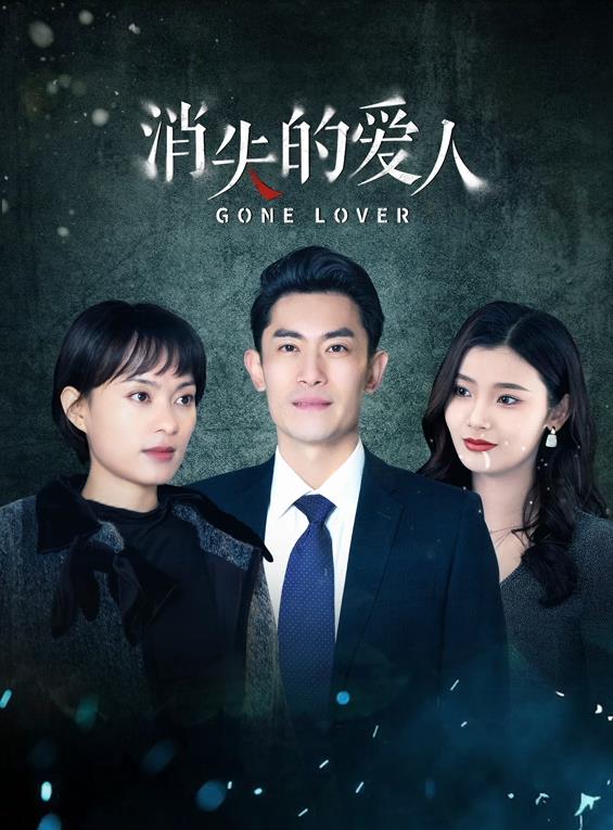 消失的爱人2025(全集)